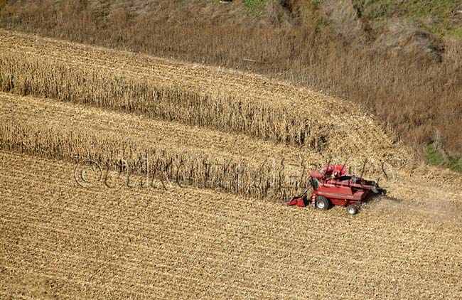 Case on Corn footprints